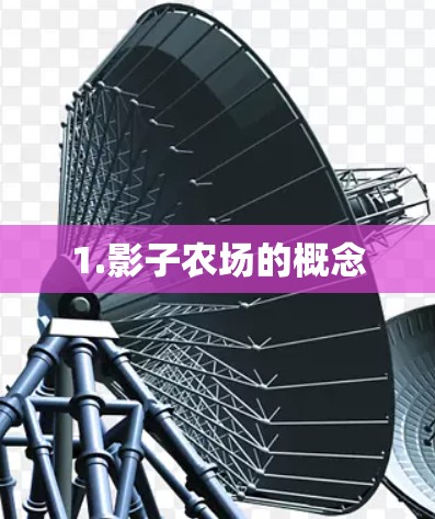 1.影子农场的概念