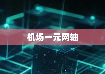 机场一元网轴