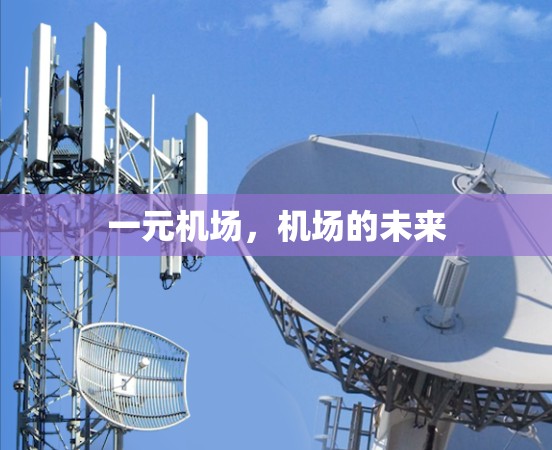 一元机场，机场的未来