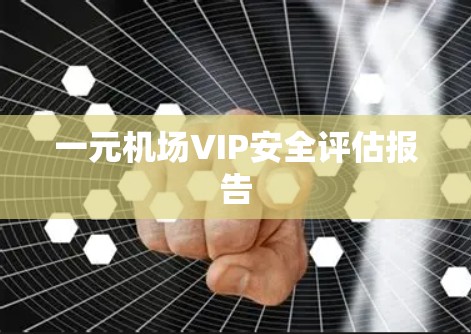 一元机场VIP安全评估报告