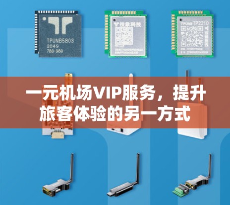 一元机场VIP服务，提升旅客体验的另一方式