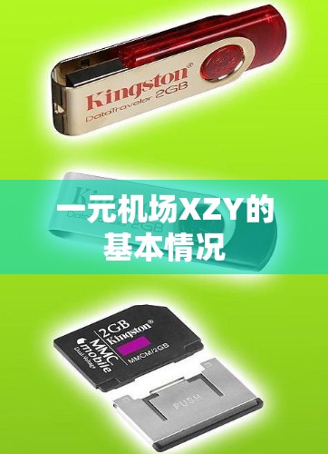 一元机场XZY的基本情况