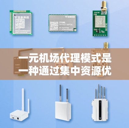 一元机场代理模式是一种通过集中资源优化机场运营的方法，旨在提高效率和减少资源消耗。以下是对该模式的详细分析和总结