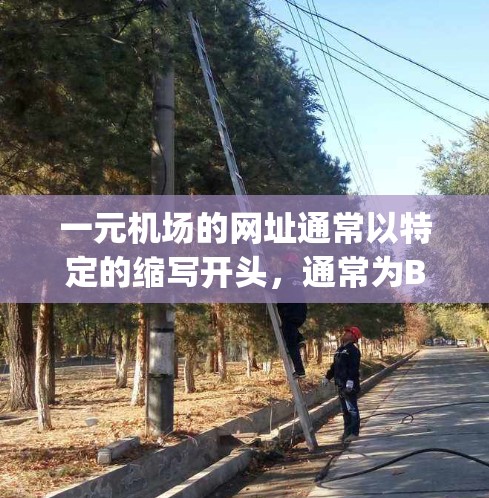 一元机场的网址通常以特定的缩写开头，通常为Bing、MAERL或其他类似的缩写，然后加上所在城市的简称。例如