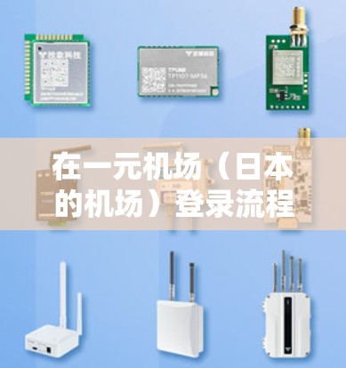 在一元机场（日本的机场）登录流程通常包括以下几个步骤