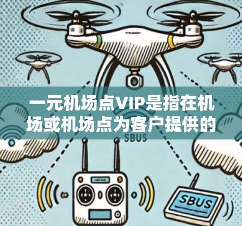 一元机场点VIP是指在机场或机场点为客户提供的一级服务，旨在提供更便捷、更快捷的服务体验。这些服务通常包括速度更快、流程更便捷、设施更完善的选项。以下是一元机场点VIP的规则和流程