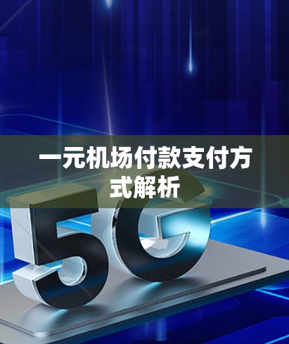 一元机场付款支付方式解析