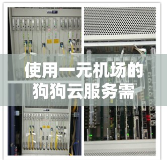 使用一元机场的狗狗云服务需要仔细操作，确保每个步骤都正确无误，同时也要遵守宠物伦理，保持狗狗的健康。以下是对该服务的详细步骤和注意事项