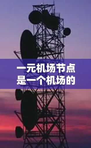 一元机场节点是一个机场的核心入口，设计为一个高效和便捷的枢纽，确保所有乘客能够轻松到达目的地。以下是其主要运作的步骤