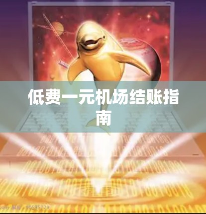 低费一元机场结账指南