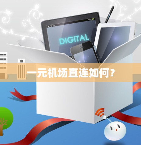 一元机场直连如何？