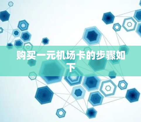 购买一元机场卡的步骤如下