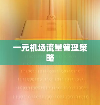 一元机场流量管理策略