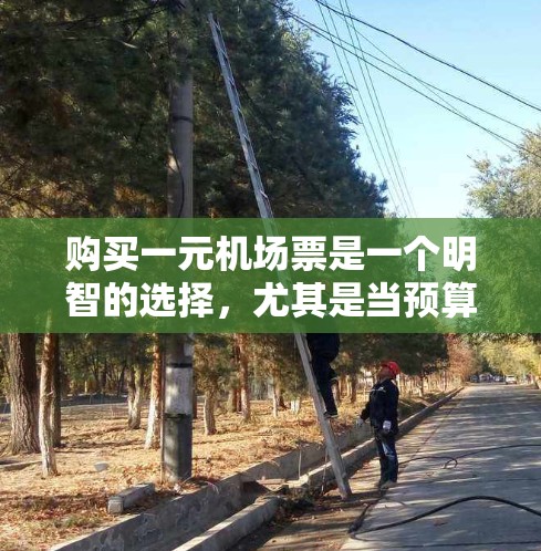 购买一元机场票是一个明智的选择，尤其是当预算有限时，但需结合具体的适用条件和规定进行仔细评估。以下是对一元机场票的详细分析