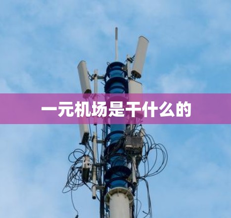 一元机场是干什么的
