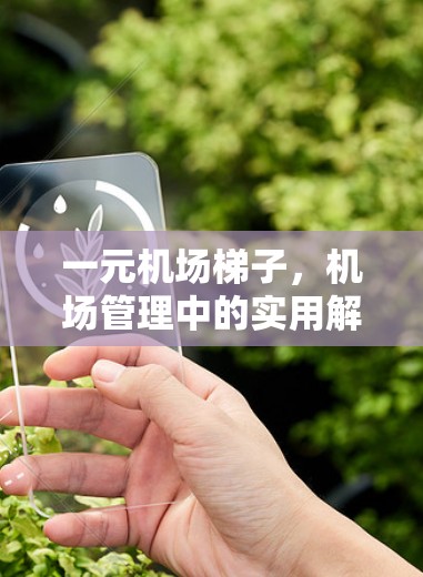 一元机场梯子，机场管理中的实用解决方案