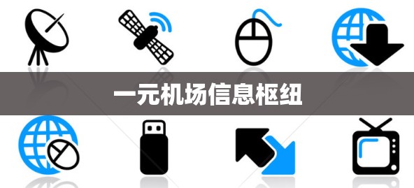 一元机场信息枢纽