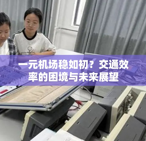 一元机场稳如初？交通效率的困境与未来展望