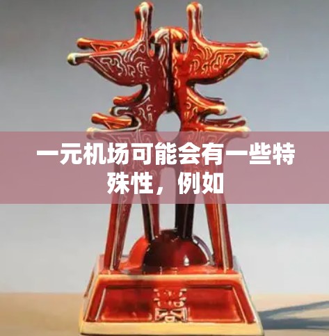 一元机场可能会有一些特殊性，例如