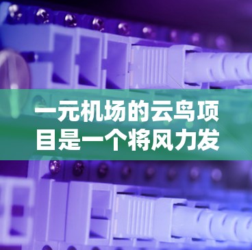 一元机场的云鸟项目是一个将风力发电技术与机场灯光设计相结合的创新项目，旨在通过减少对化石燃料的依赖，同时提升机场的整体美观性和能源效率。以下是对其设计和运作的详细解释