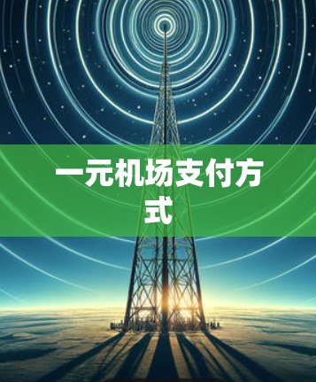 一元机场支付方式
