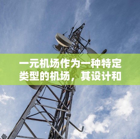 一元机场作为一种特定类型的机场，其设计和运营方式对飞行和管理有不同的影响。以下是对一元机场的详细分析