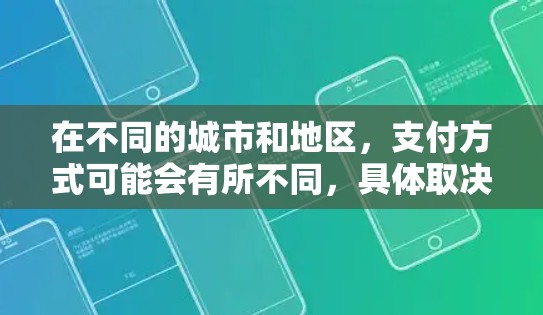 在不同的城市和地区，支付方式可能会有所不同，具体取决于机场的设置和当地的政策。以下是根据常见的支付方式整理的建议