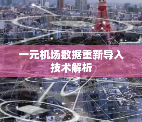 一元机场数据重新导入技术解析