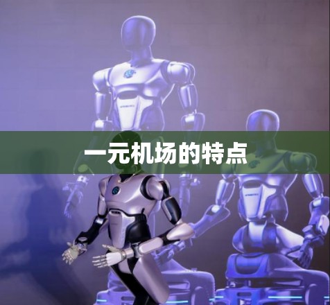 一元机场的特点