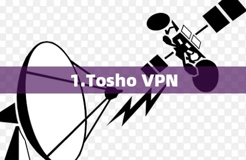 1.Tosho VPN