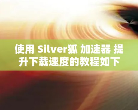 使用 Silver狐 加速器 提升下载速度的教程如下
