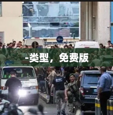 -类型，免费版