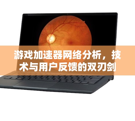 游戏加速器网络分析，技术与用户反馈的双刃剑