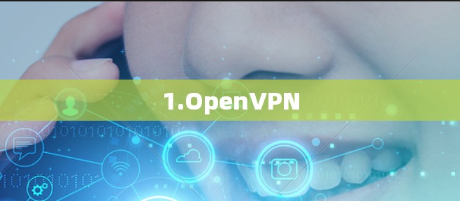 1.OpenVPN